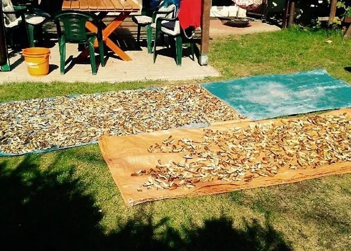 Letniskowy W Kujankach